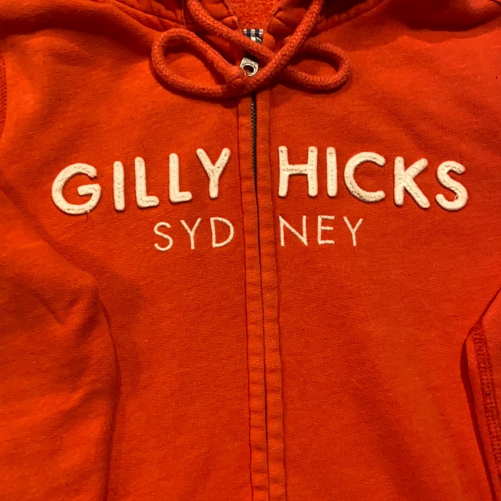 GILLY HICKS VINTAGE ZIPUP HOODIE